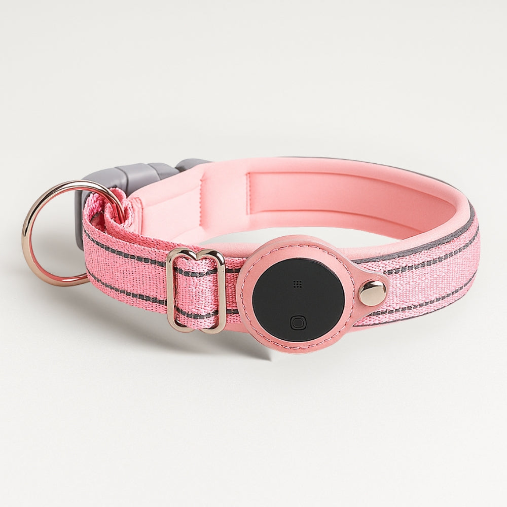 TrackGo Dog Collar