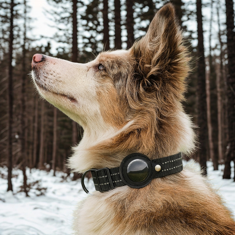TrackGo Hundhalsband (Android)